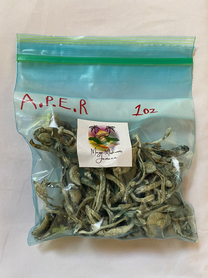 APER Dried Mushrooms