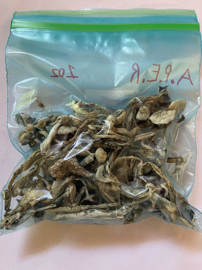 APER Dried Mushrooms